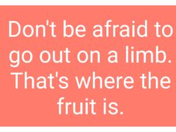 Don’t be afraid to go out on a limb. That’s where the fruit is.